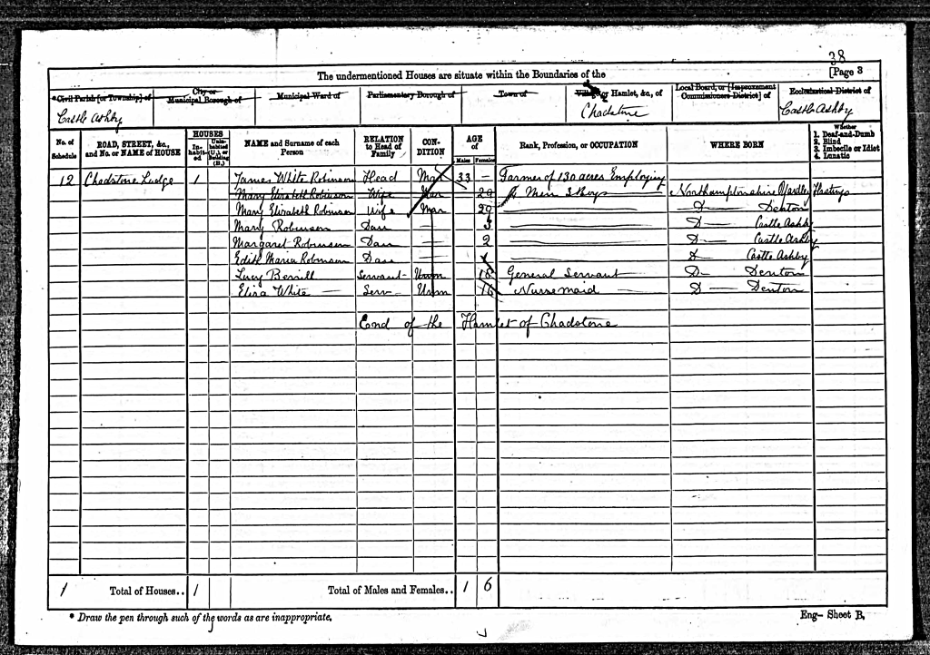 Copy from the 1871 census including Mary and her parents 